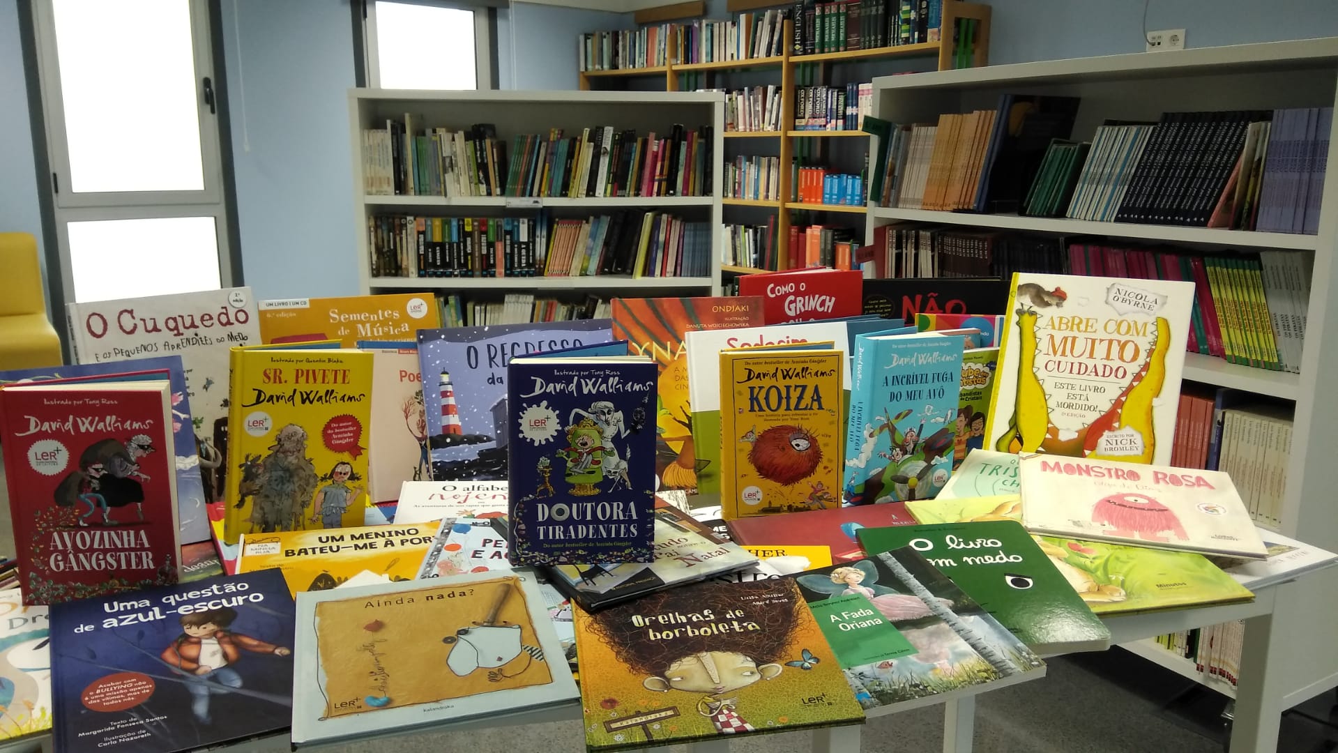 Livros novos ECV 2