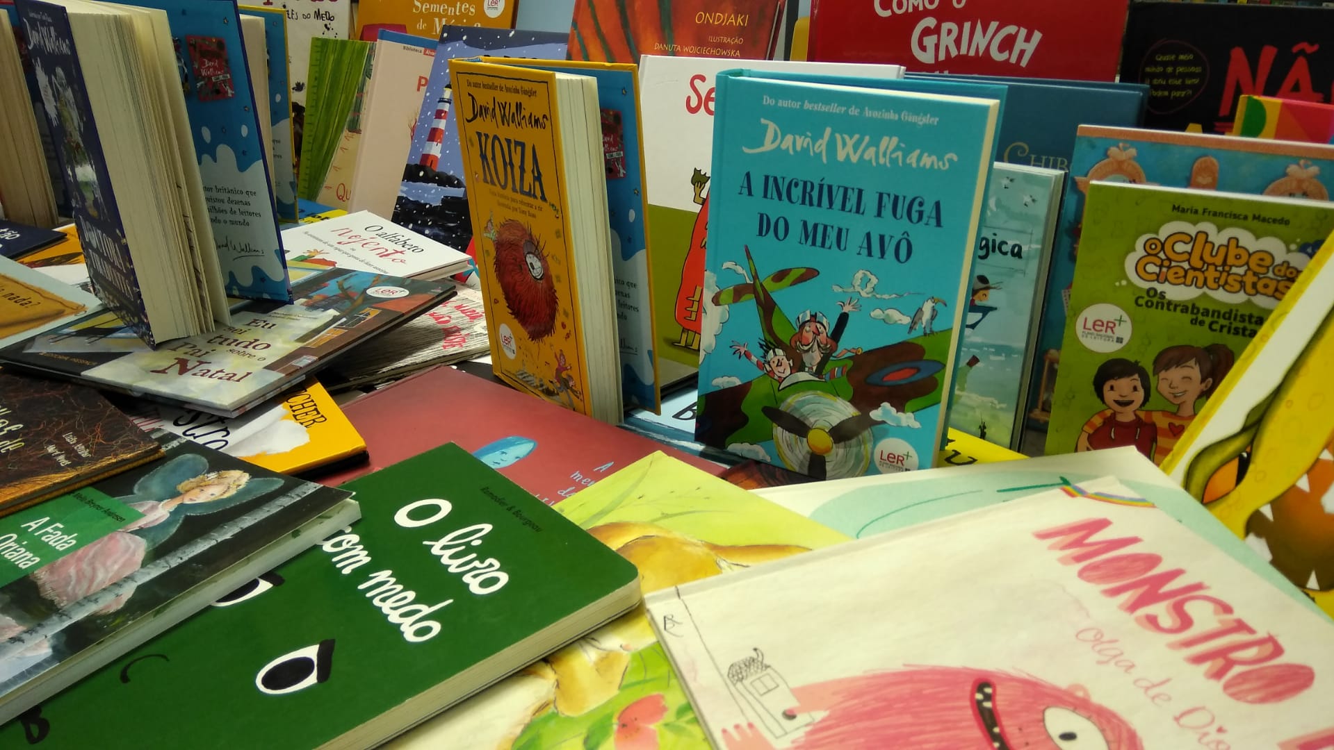 Livros novos ECV 4