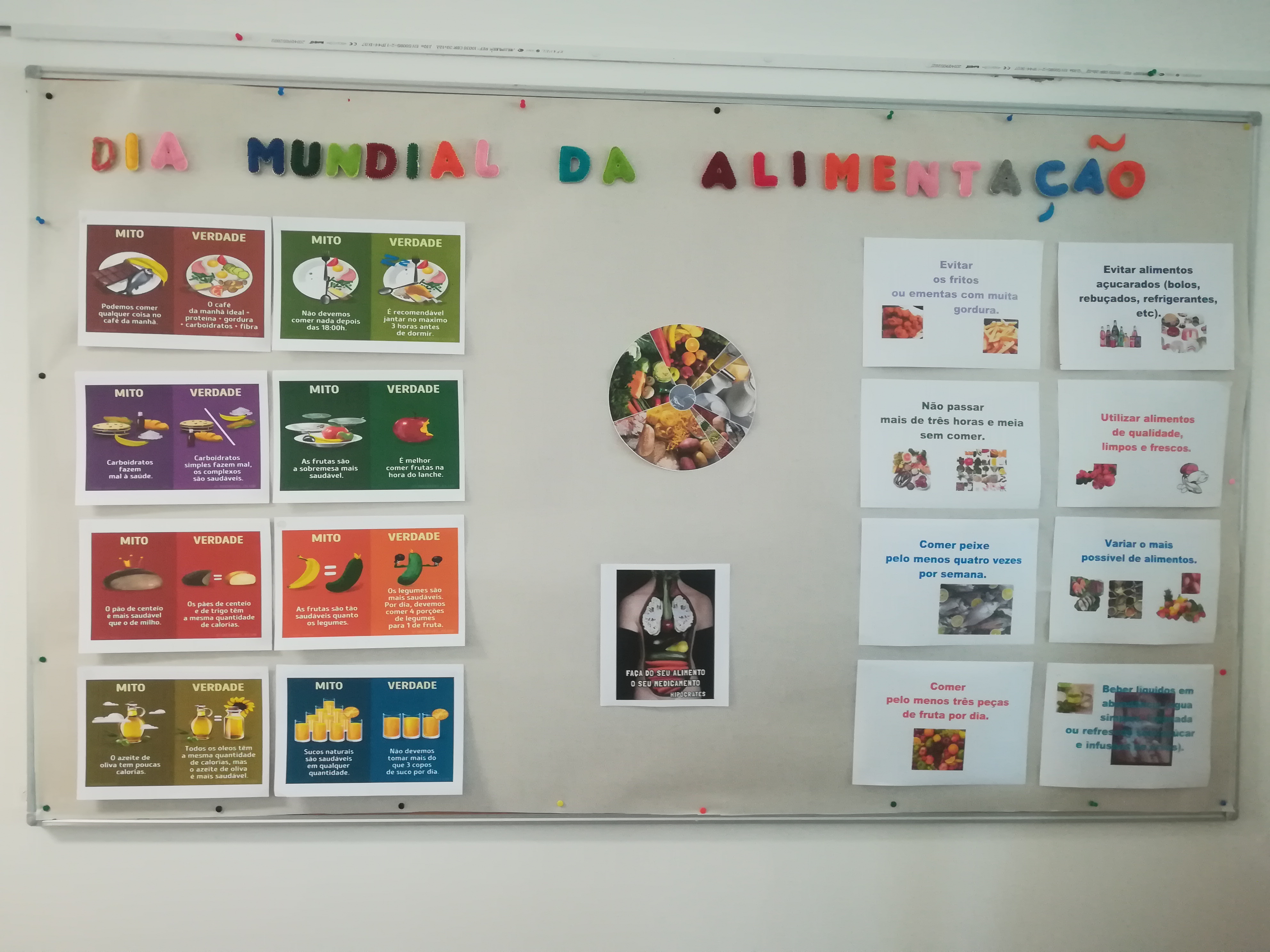 dia alimentação 6