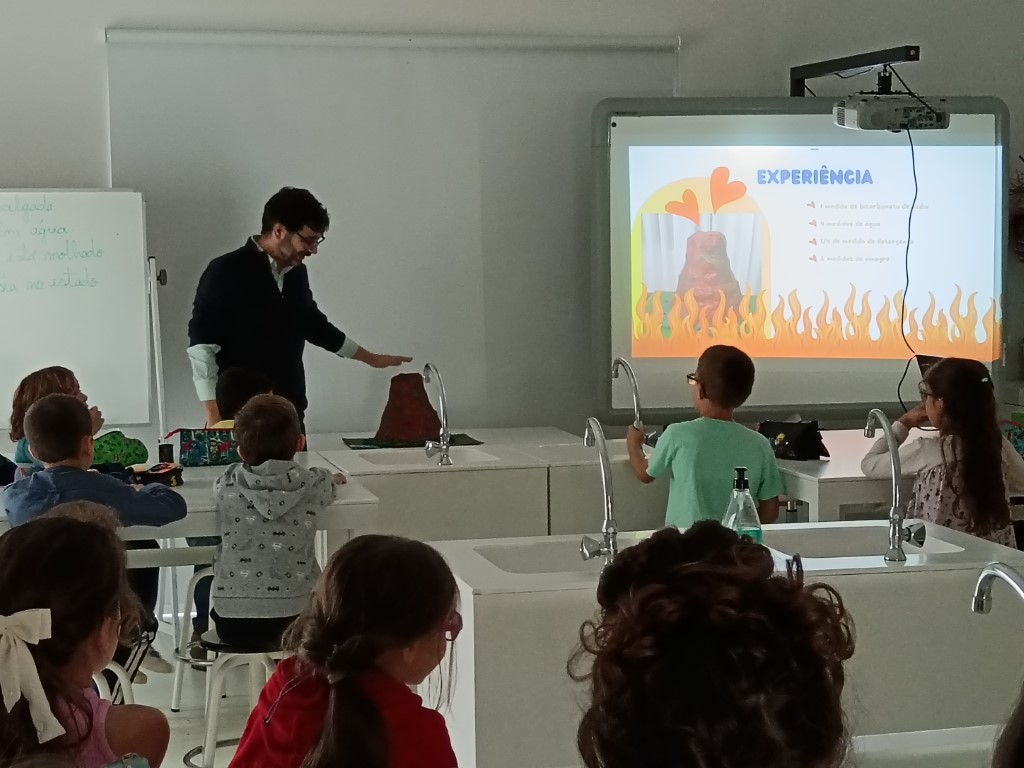 IMG 20241122 115646